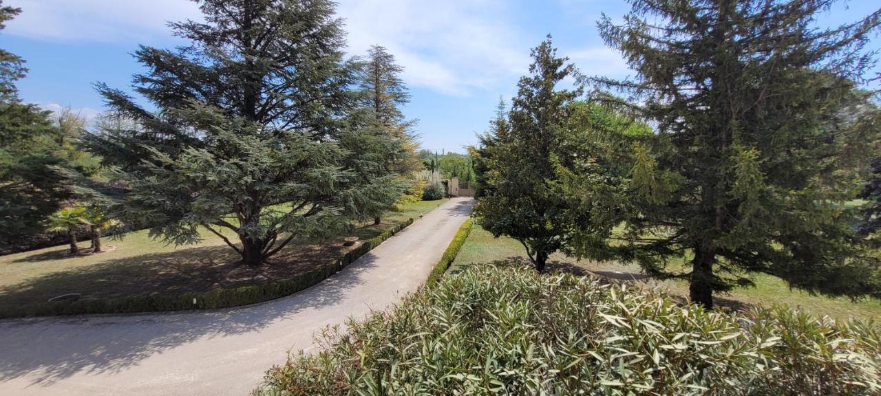 Villa Liberty Entraigues-sur-la-Sorgue Bagian luar foto