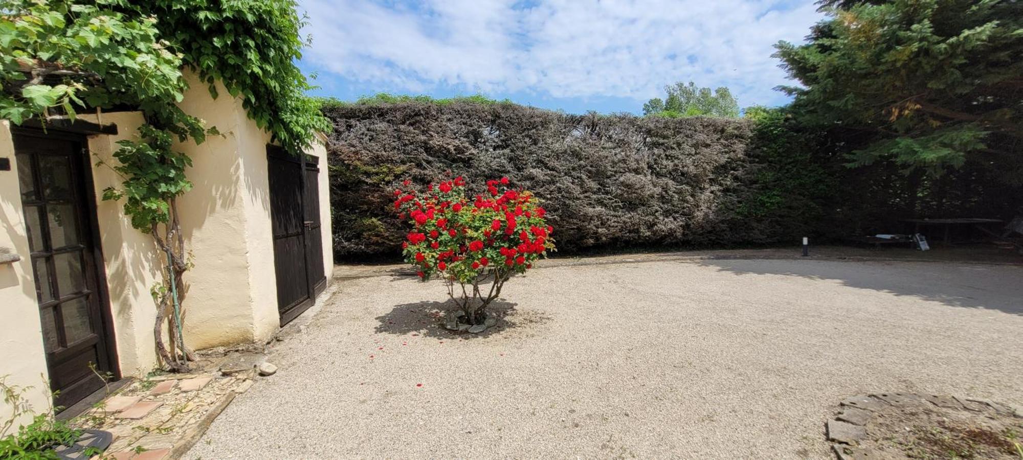 Villa Liberty Entraigues-sur-la-Sorgue Ruang foto
