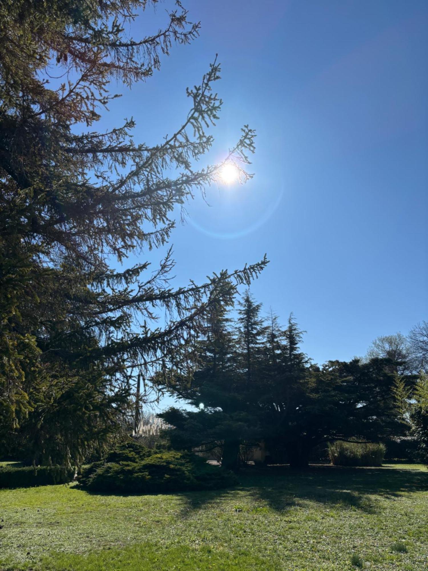 Villa Liberty Entraigues-sur-la-Sorgue Bagian luar foto